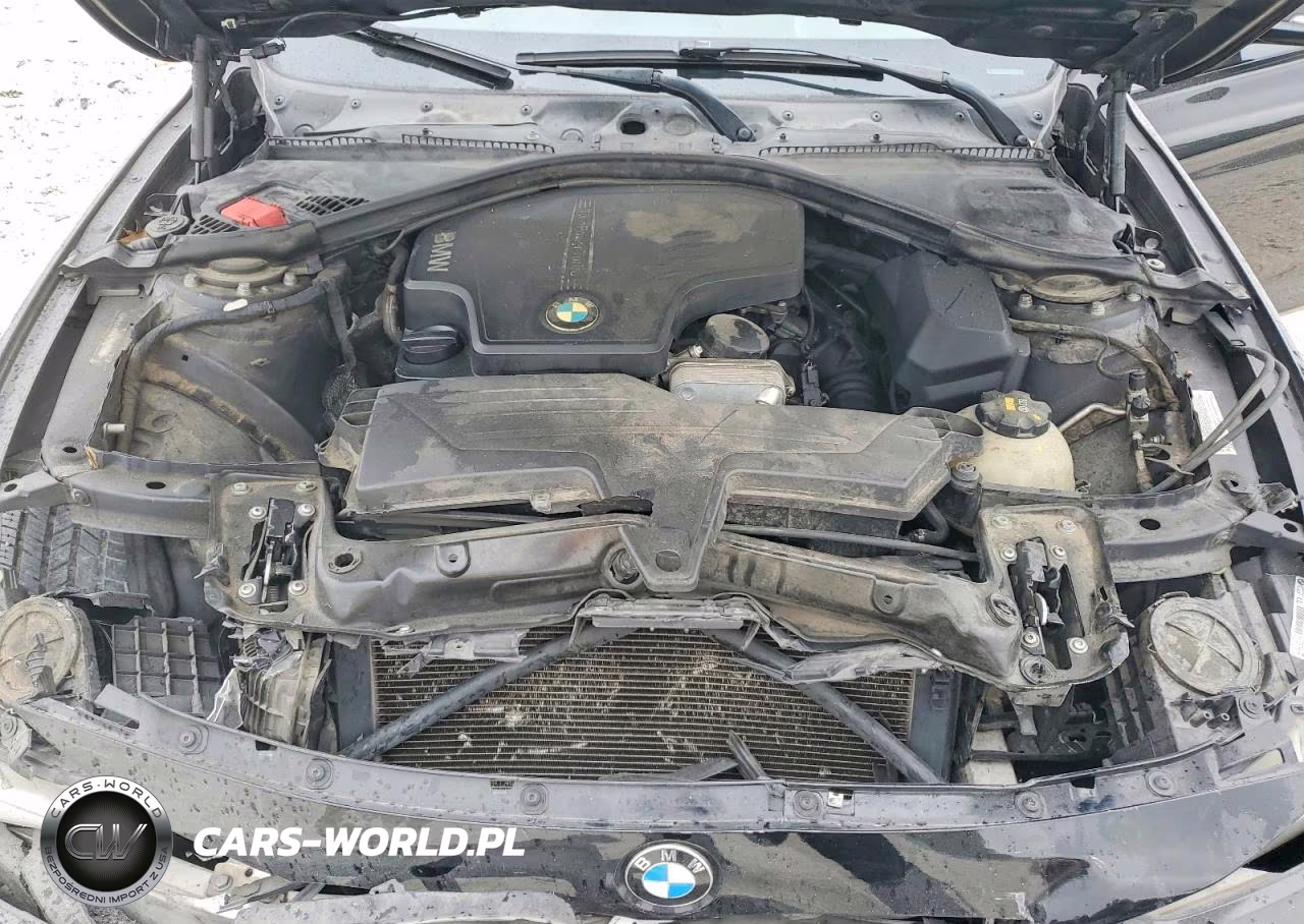 2015 BMW 320 I VIN:WBA3B1G55FNT64048 - 11