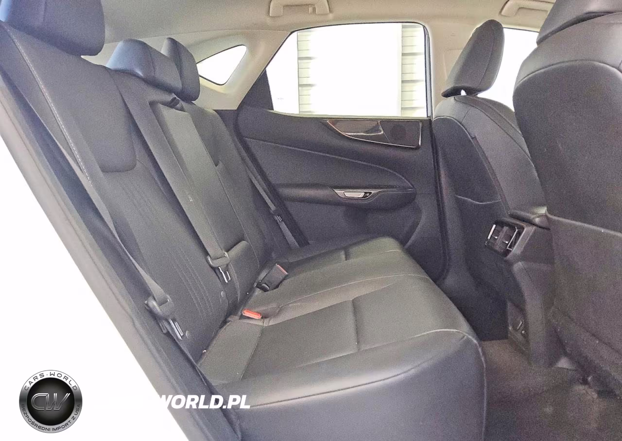 2022 Lexus Nx 250 VIN:2T2ADCAZ1NC001559 - 10