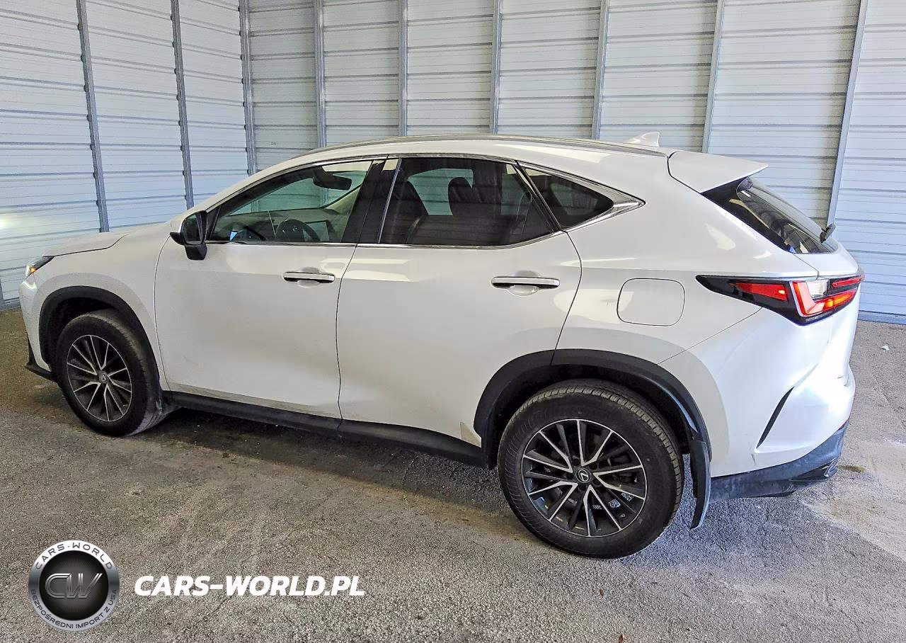 2022 Lexus Nx 250 VIN:2T2ADCAZ1NC001559 - 2