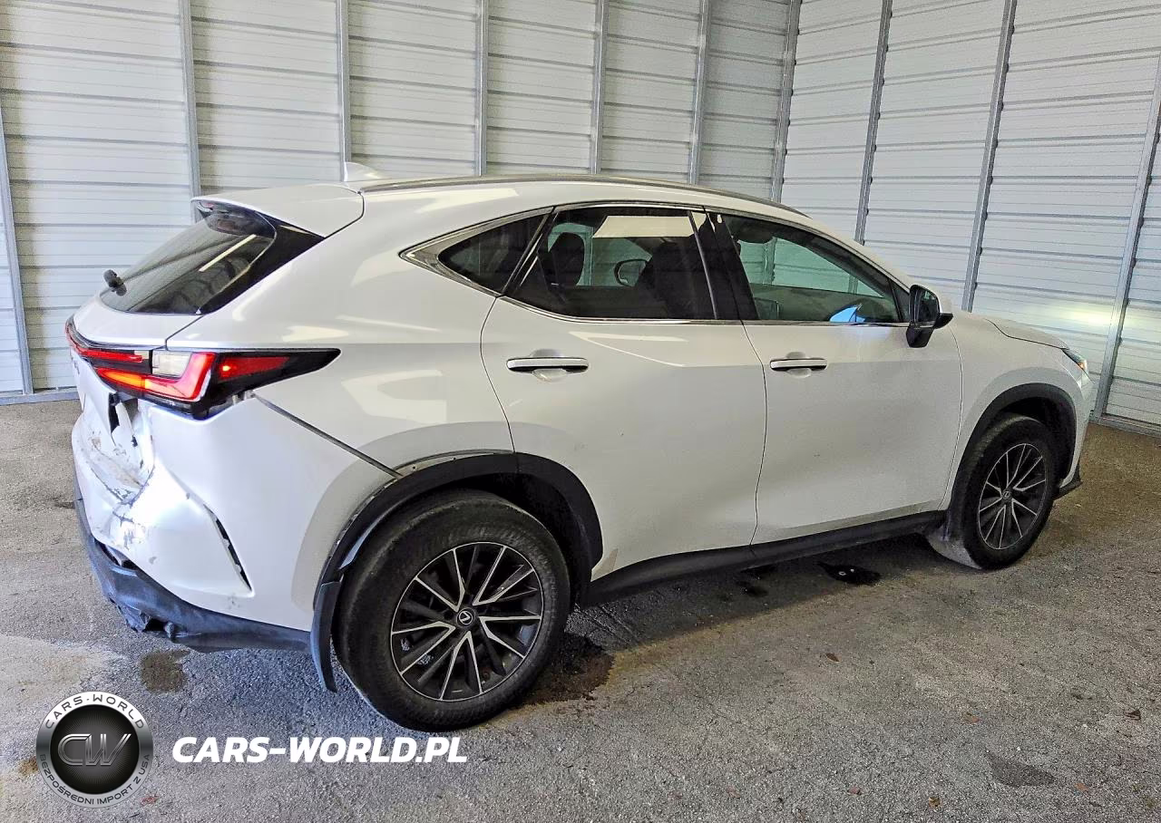2022 Lexus Nx 250 VIN:2T2ADCAZ1NC001559 - 3