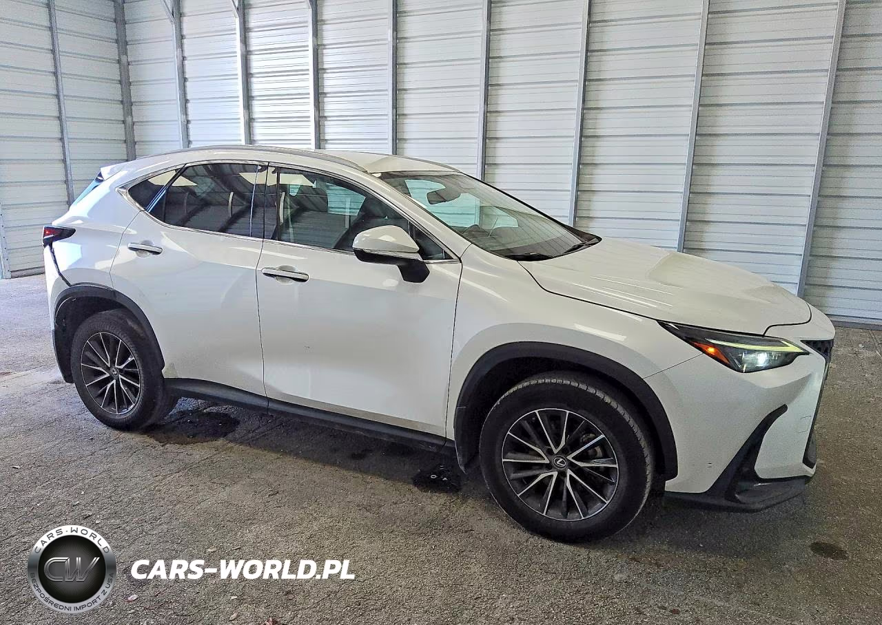 2022 Lexus Nx 250 VIN:2T2ADCAZ1NC001559 - 4