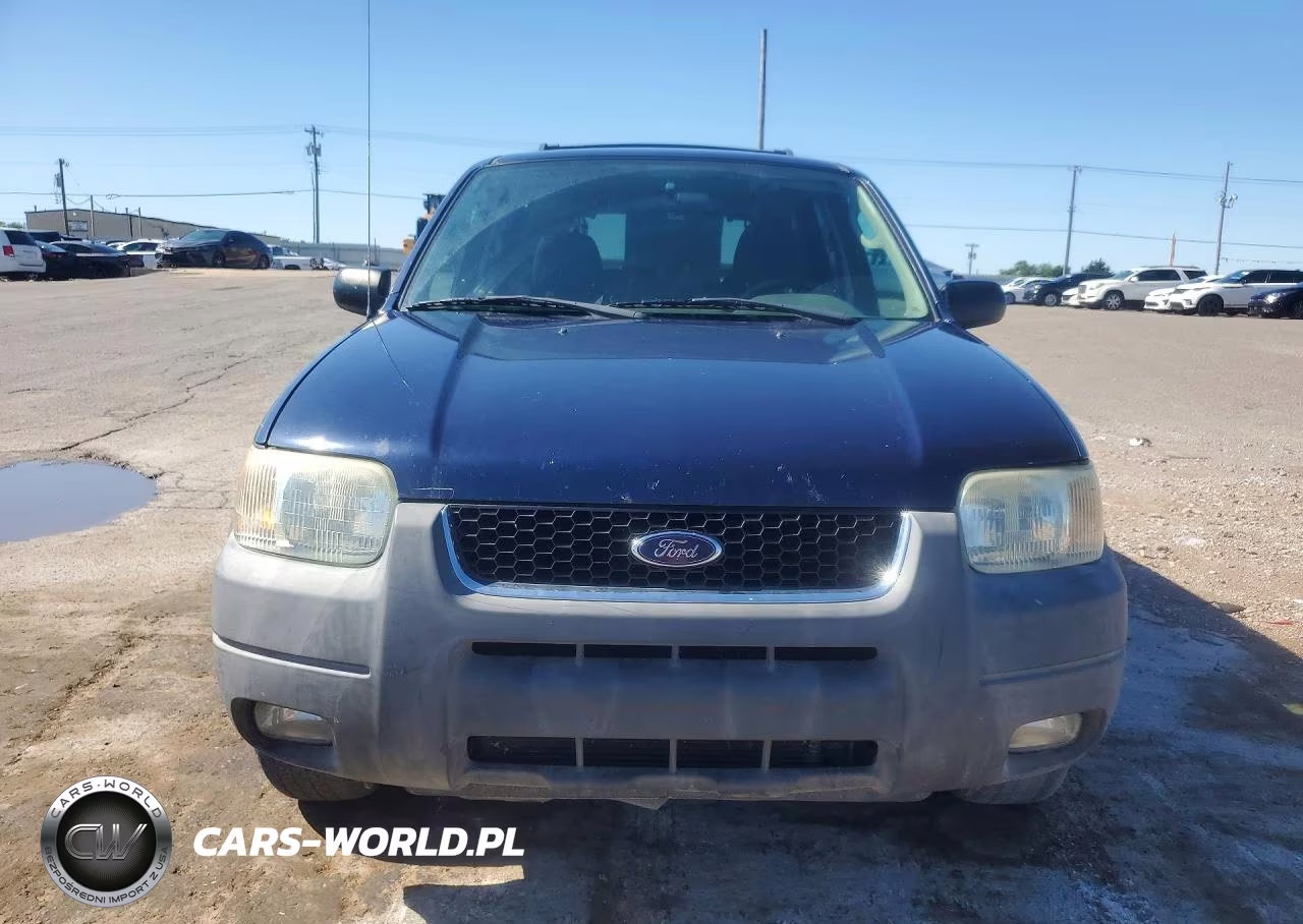 2004 Ford Escape Xlt VIN:1FMCU03184KB19068 - 5
