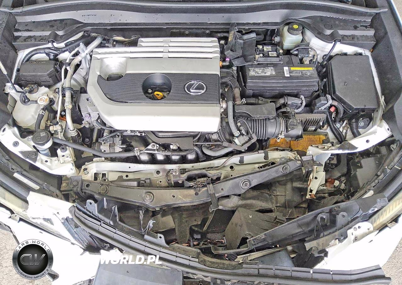 2020 Lexus Ux 200 VIN:JTHP3JBH6L2026270 - 11