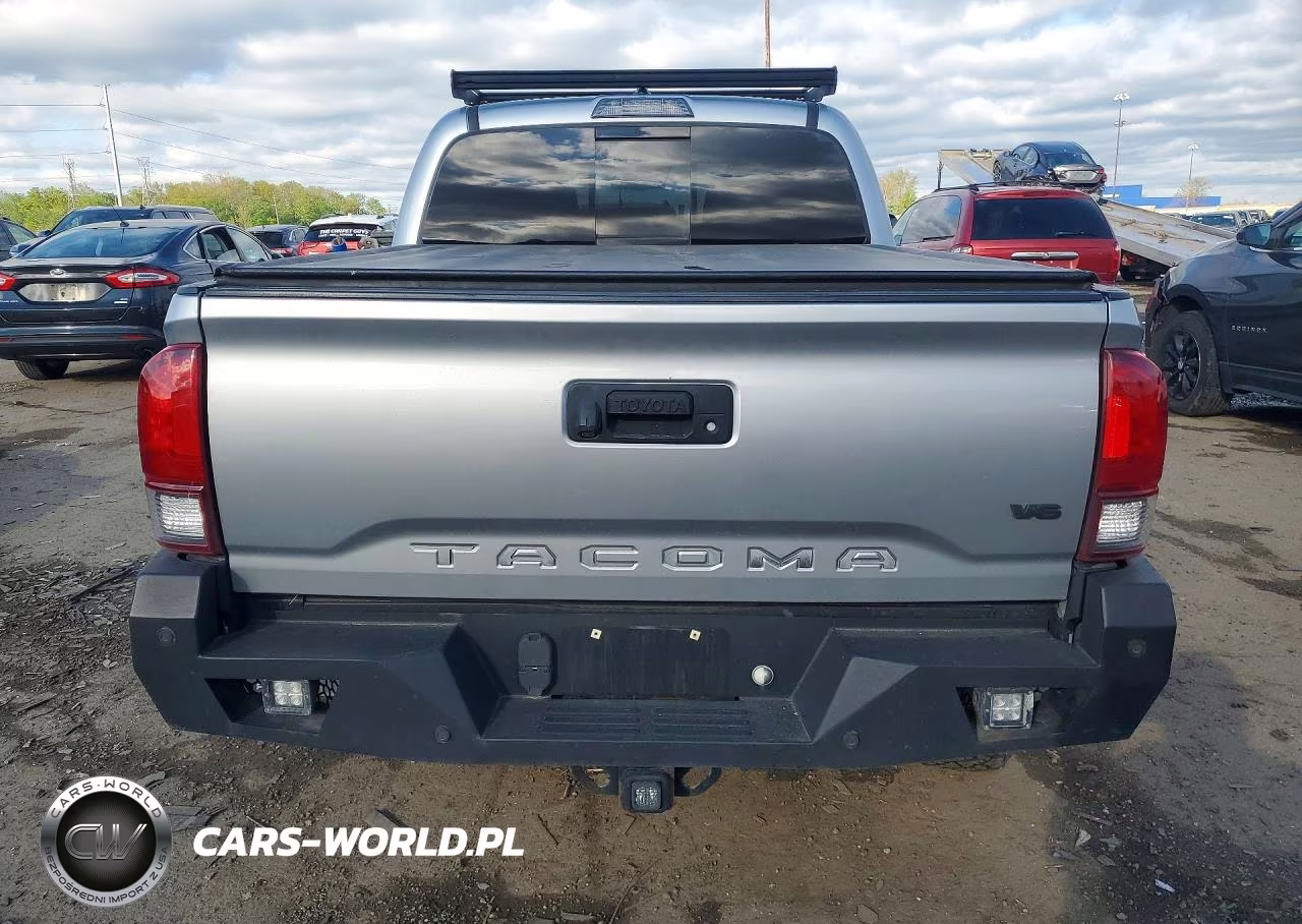 2019 Toyota Tacoma Trd Off-Road VIN:5TFCZ5AN6KX186695 - 6