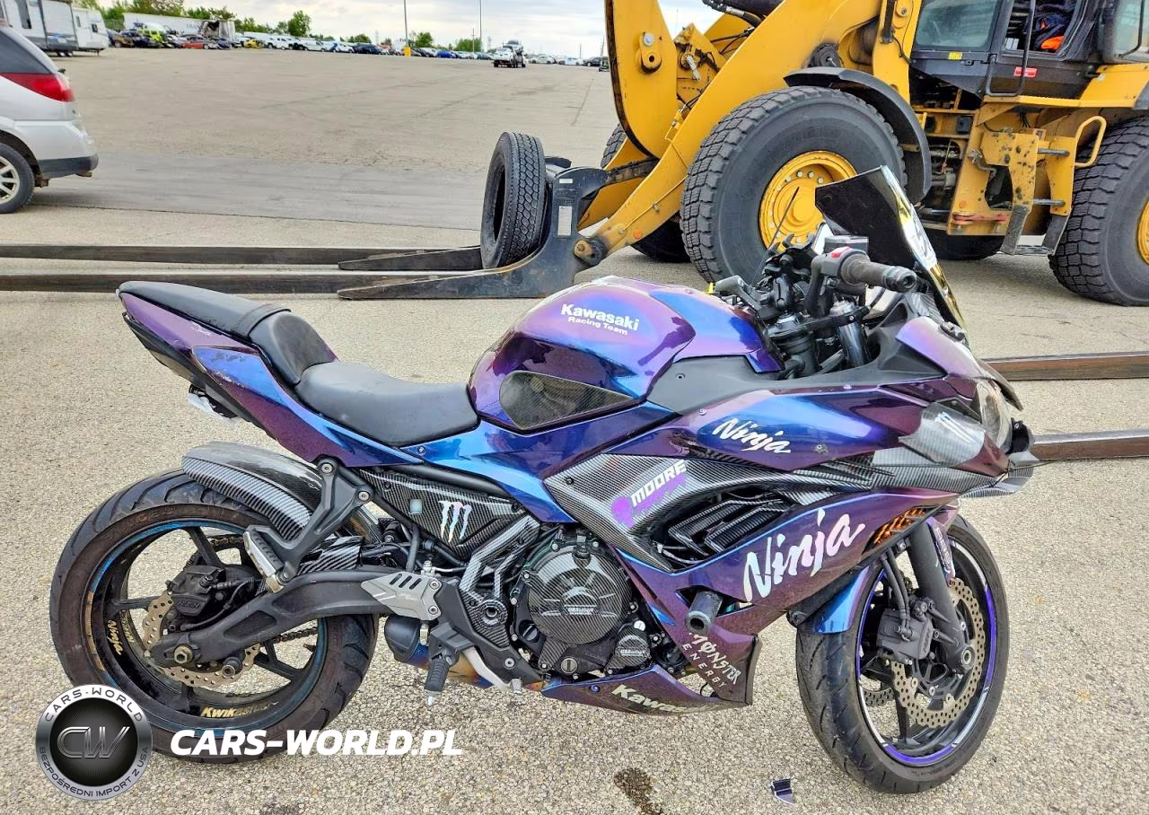 2019 Kawasaki Ex650 F