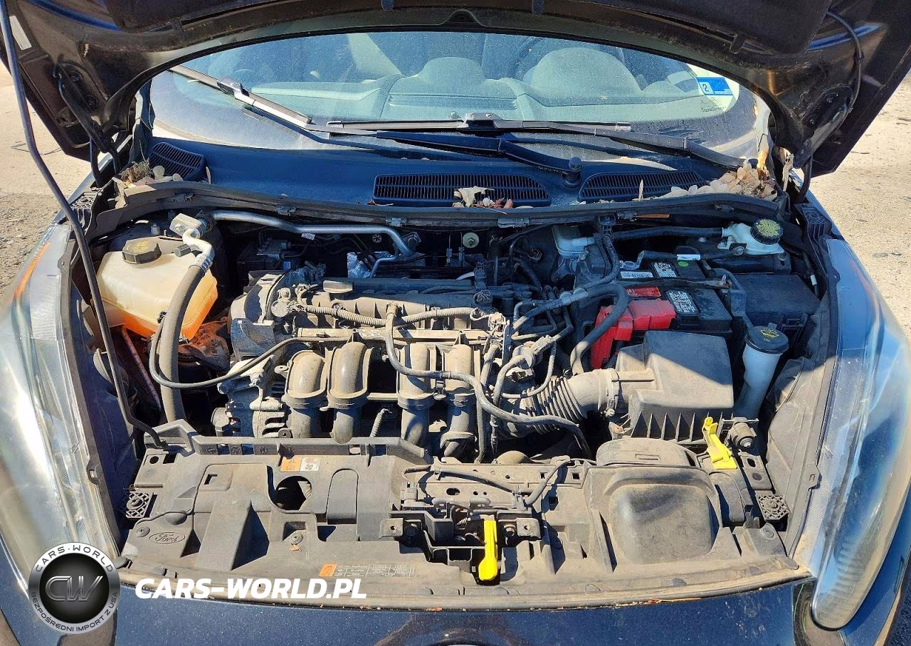 2015 Ford Fiesta Se VIN:3FADP4BJ5FM163510 - 11