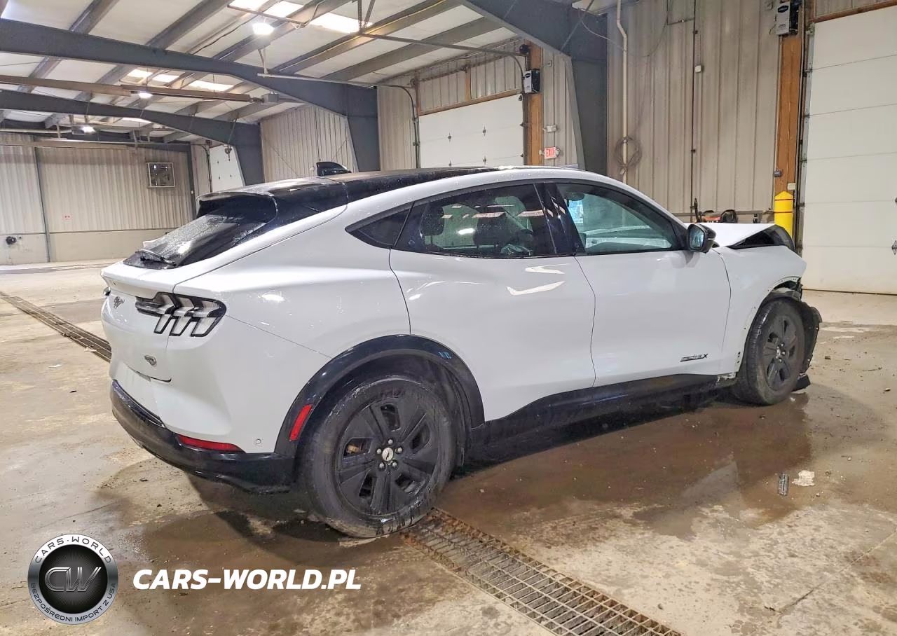 2021 Ford Mustang Mach-E California Route 1 VIN:3FMTK2R70MMA43741 - 3