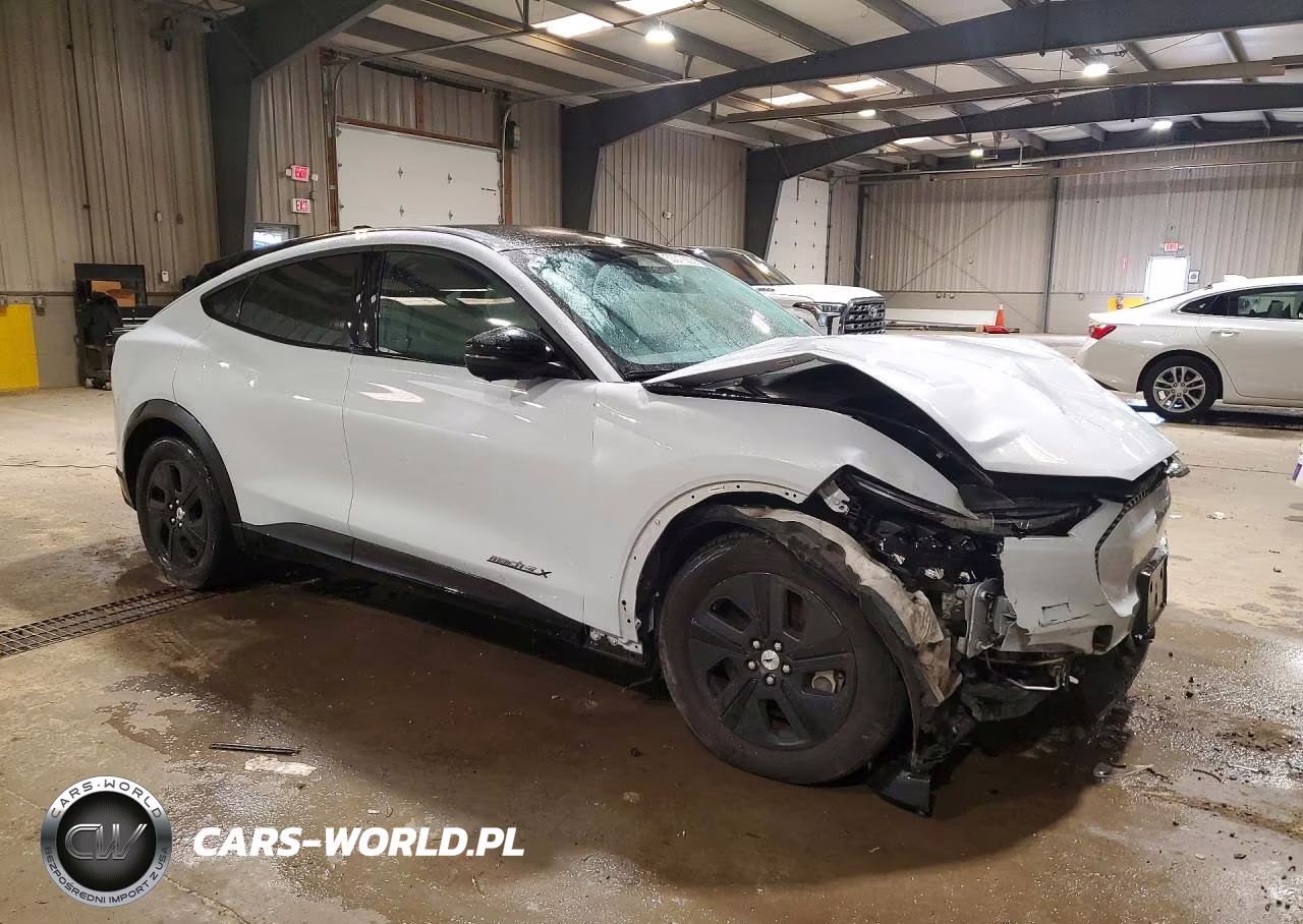 2021 Ford Mustang Mach-E California Route 1 VIN:3FMTK2R70MMA43741 - 4