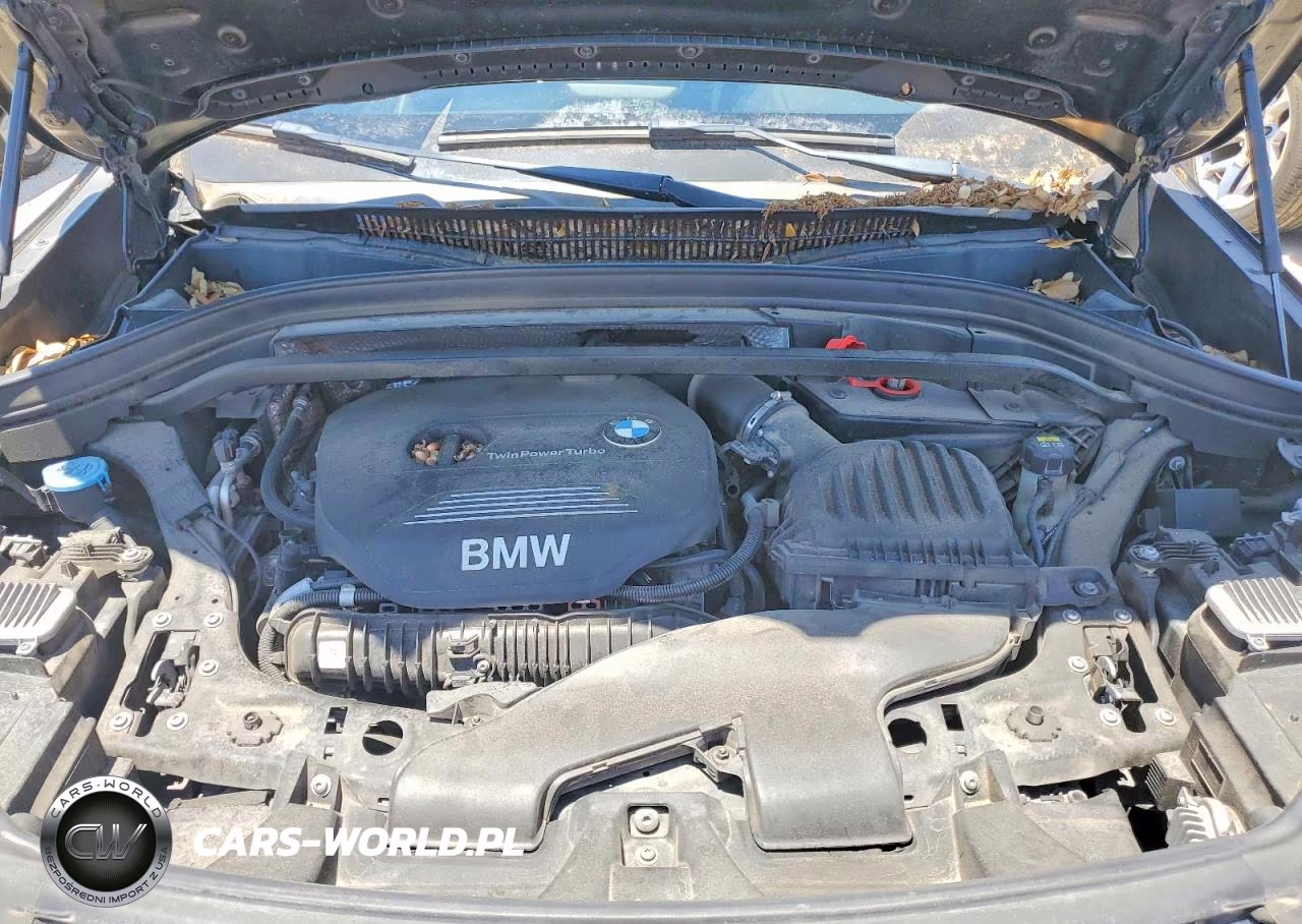 2016 BMW X1 VIN:WBXHT3C35G5E51607 - 11