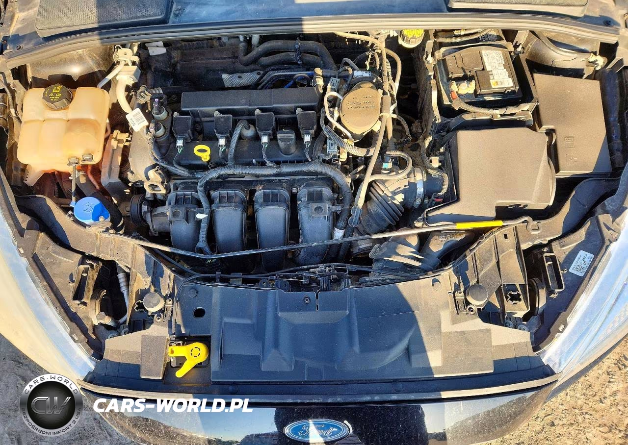 2016 Ford Focus Se VIN:1FADP3K29GL258187 - 11