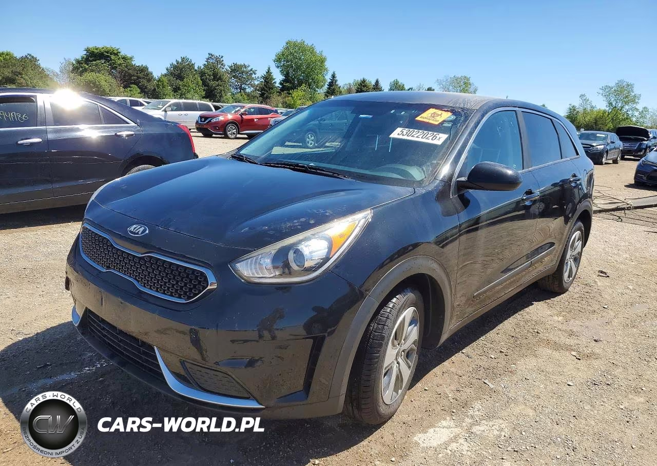 2019 Kia Niro Fe