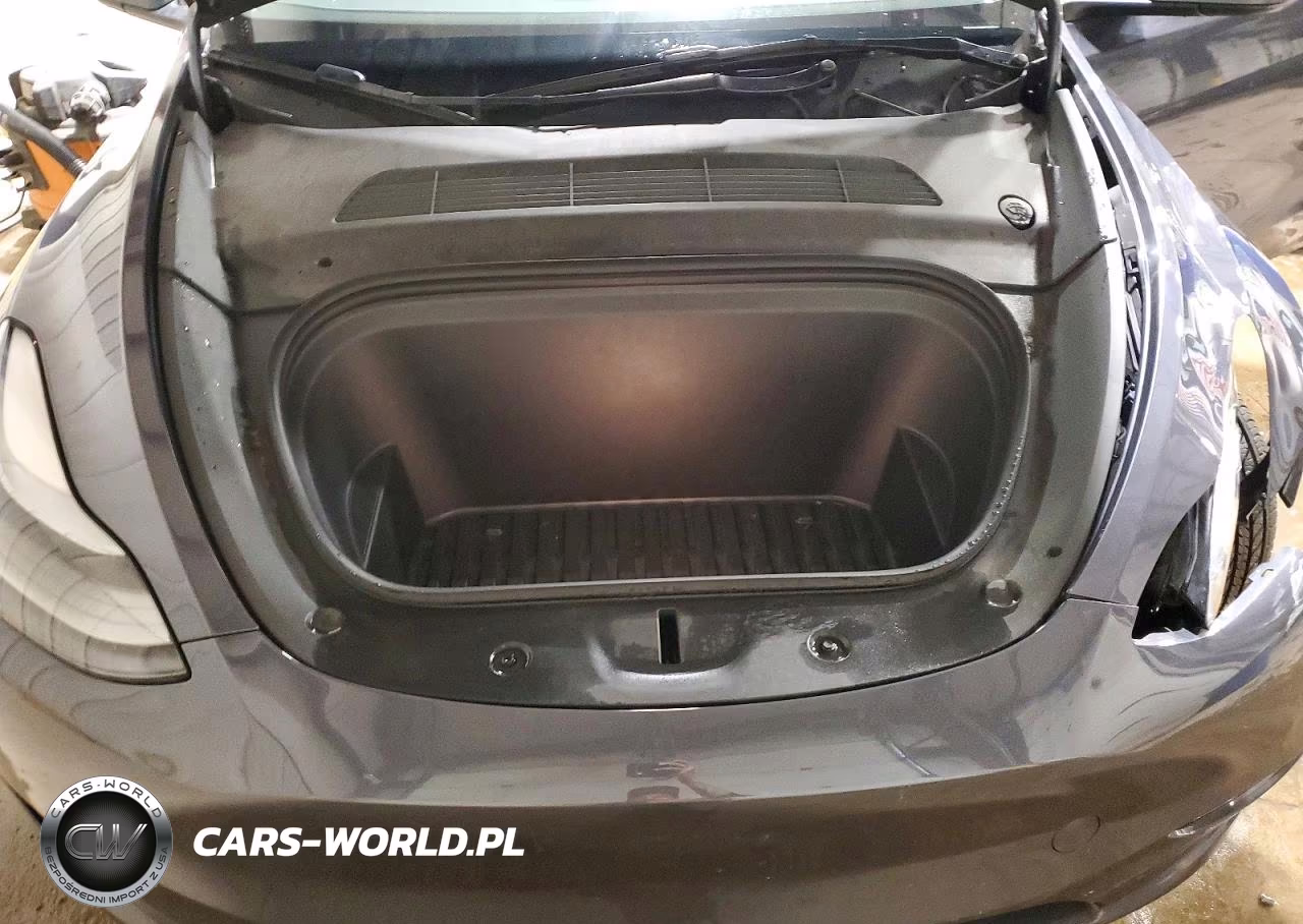 2023 Tesla Model Y VIN:7SAYGDEE2PF885746 - 11