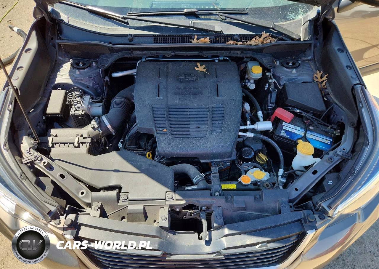 2019 Subaru Forester Premium VIN:JF2SKAGC6KH409859 - 11