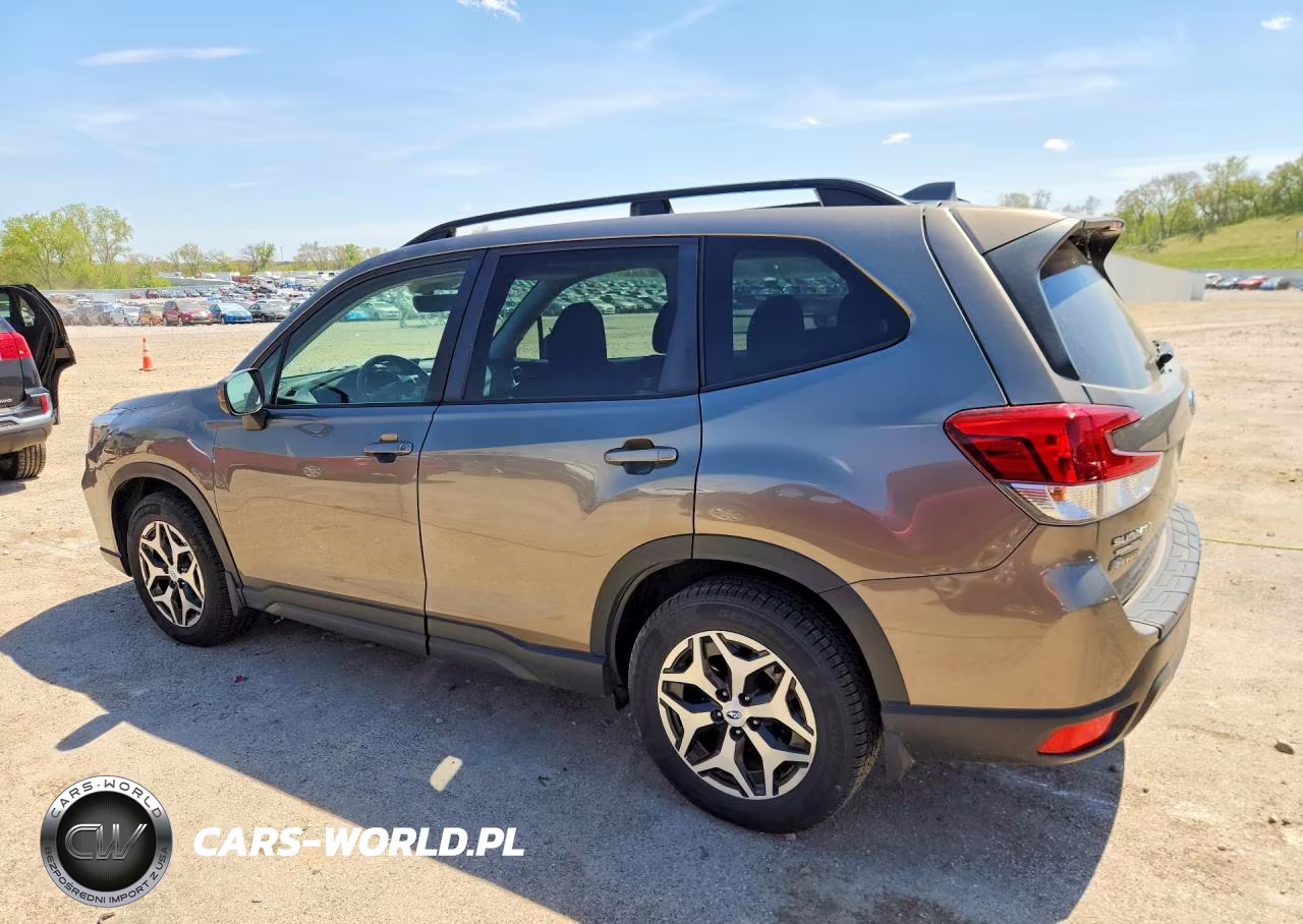 2019 Subaru Forester Premium VIN:JF2SKAGC6KH409859 - 2