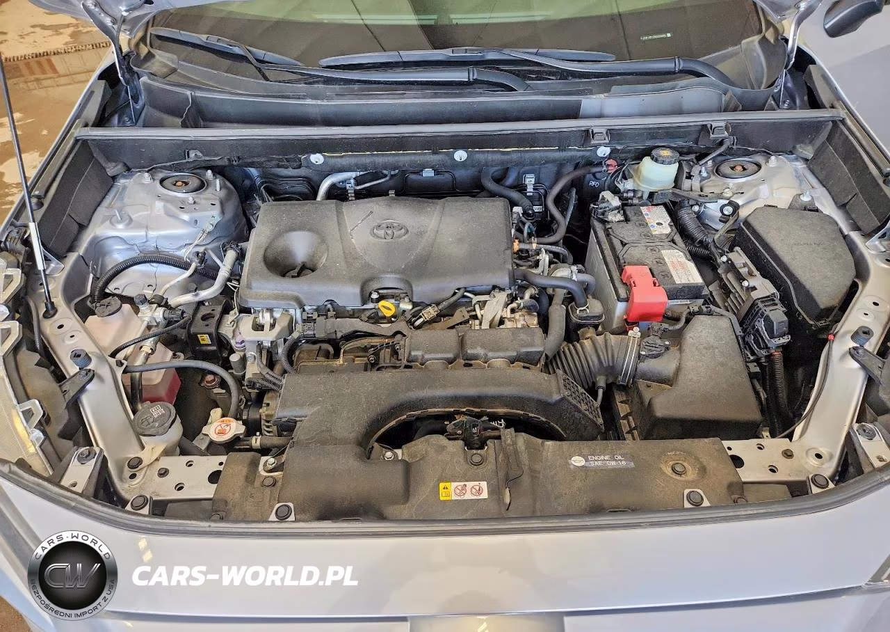 2019 Toyota Rav4 Le VIN:JTMF1RFV3KD034895 - 12