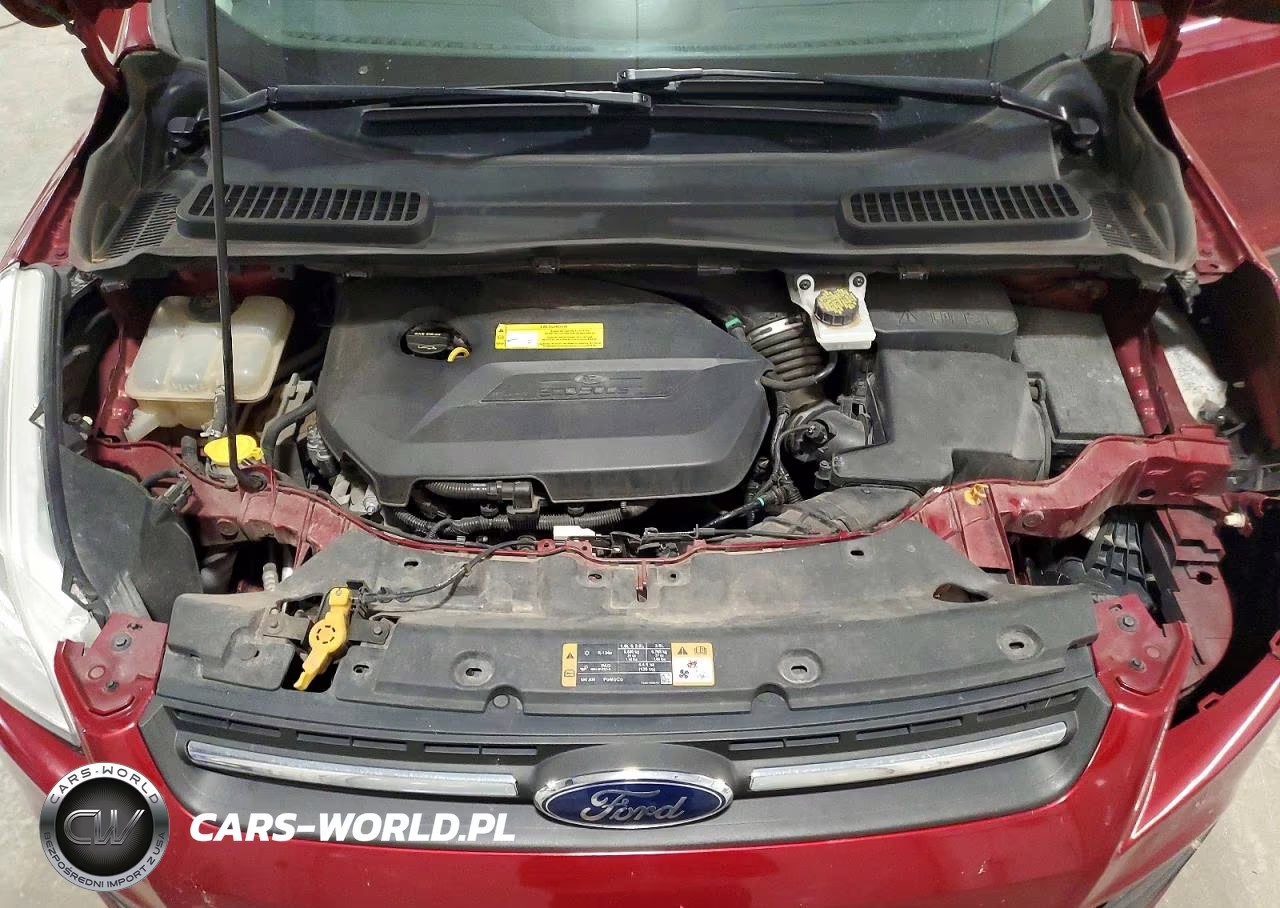 2016 Ford Escape Se VIN:1FMCU9GXXGUC37103 - 12