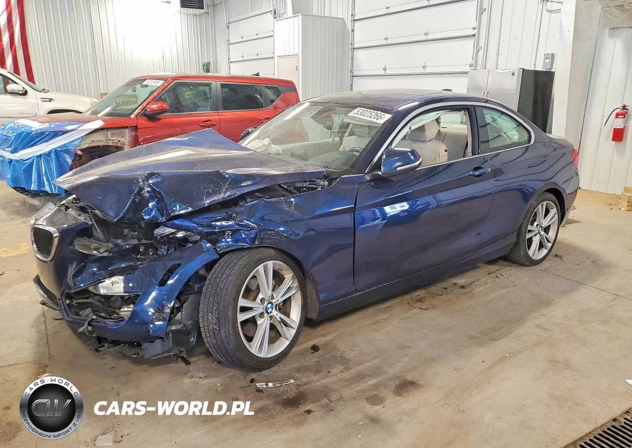 2015 BMW 228 Xi