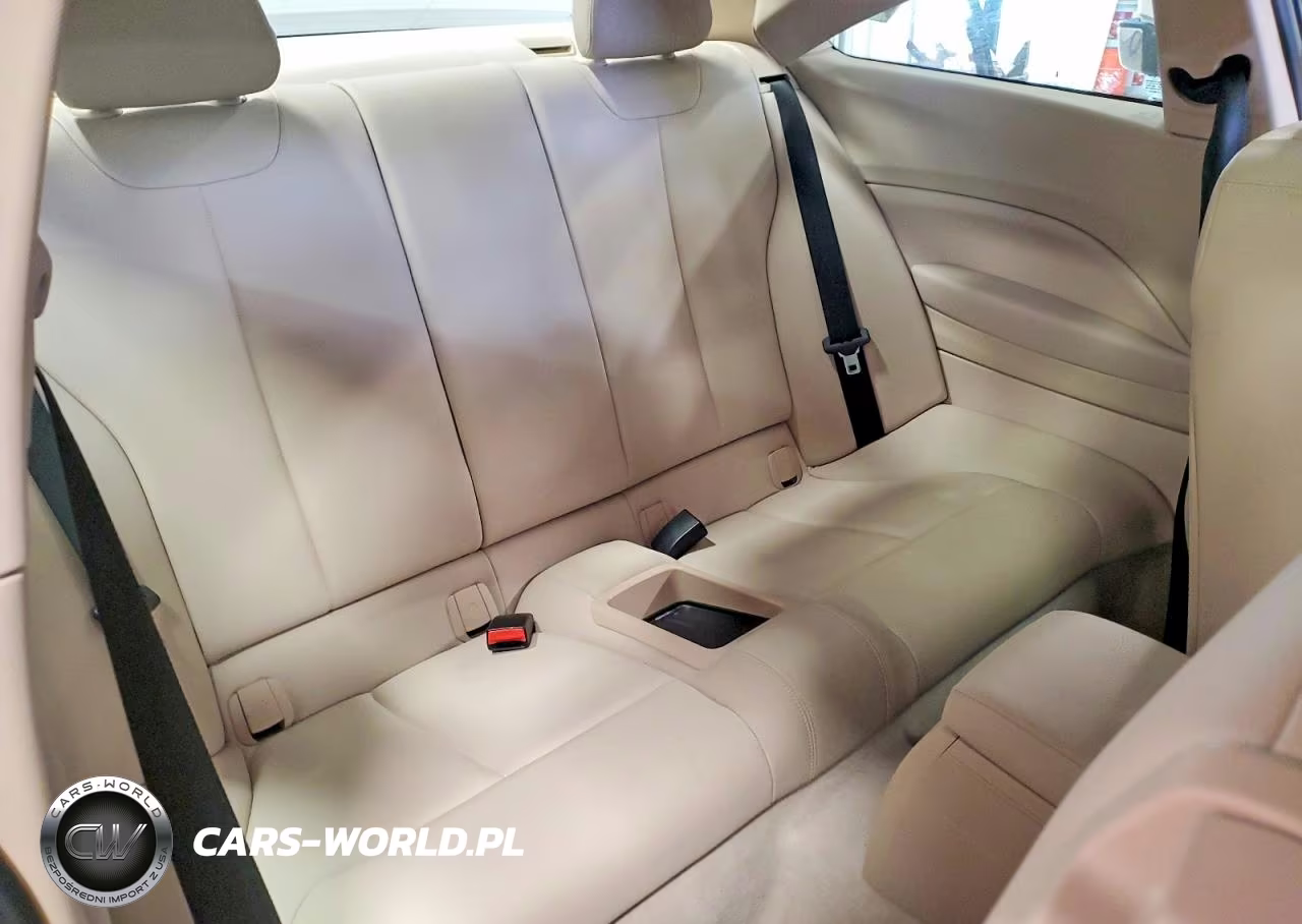 2015 BMW 228 Xi VIN:WBA1F7C50FVX96180 - 10