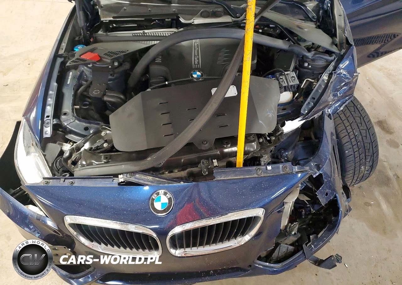 2015 BMW 228 Xi VIN:WBA1F7C50FVX96180 - 11