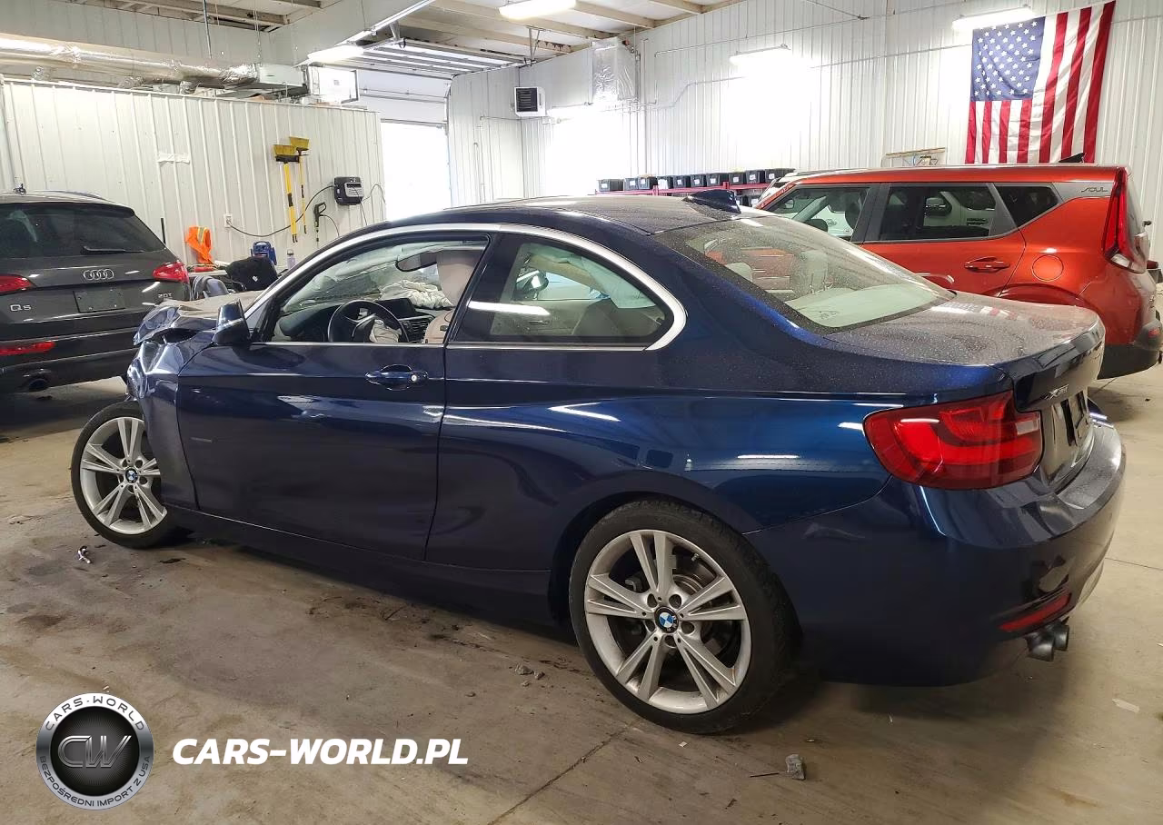 2015 BMW 228 Xi VIN:WBA1F7C50FVX96180 - 2
