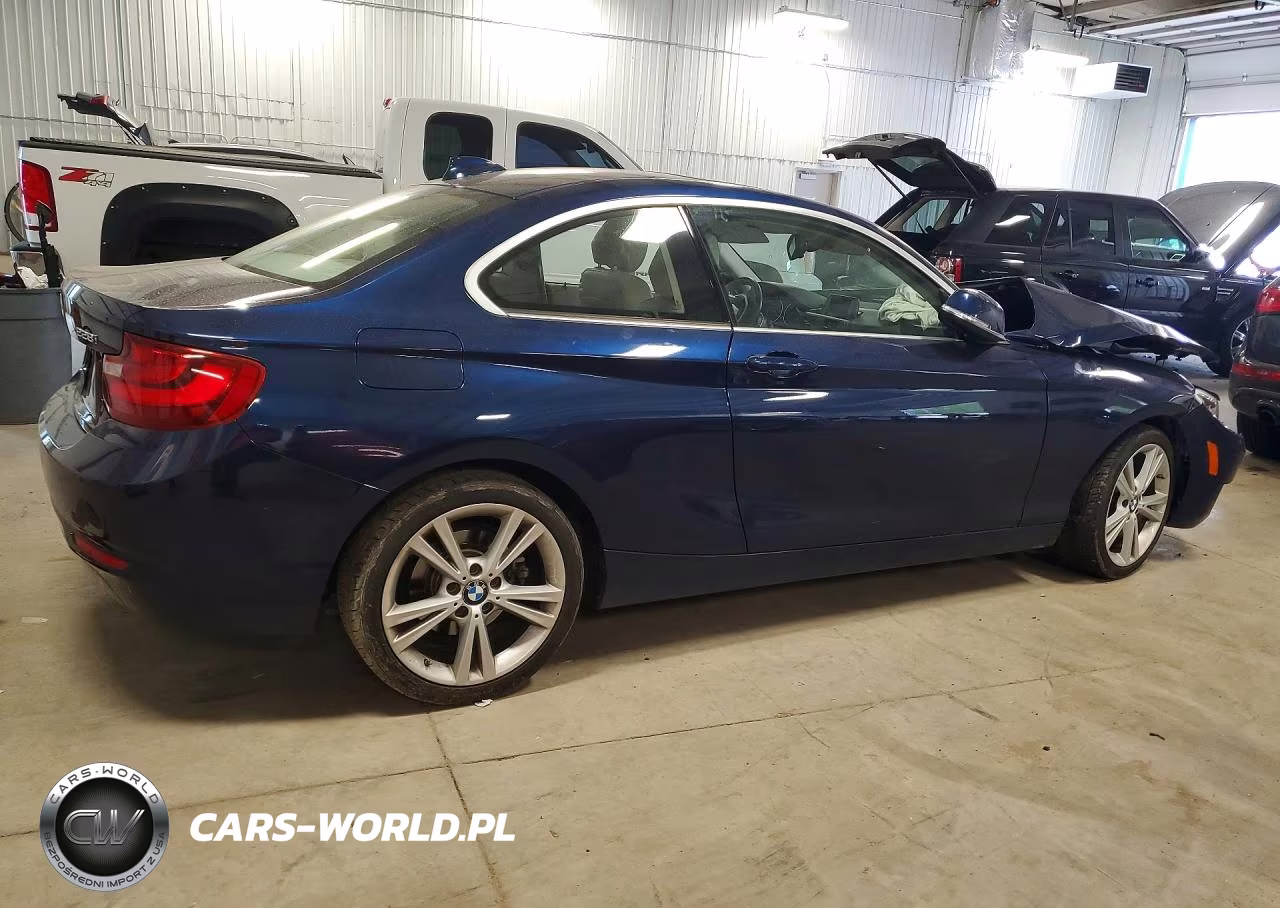 2015 BMW 228 Xi VIN:WBA1F7C50FVX96180 - 3