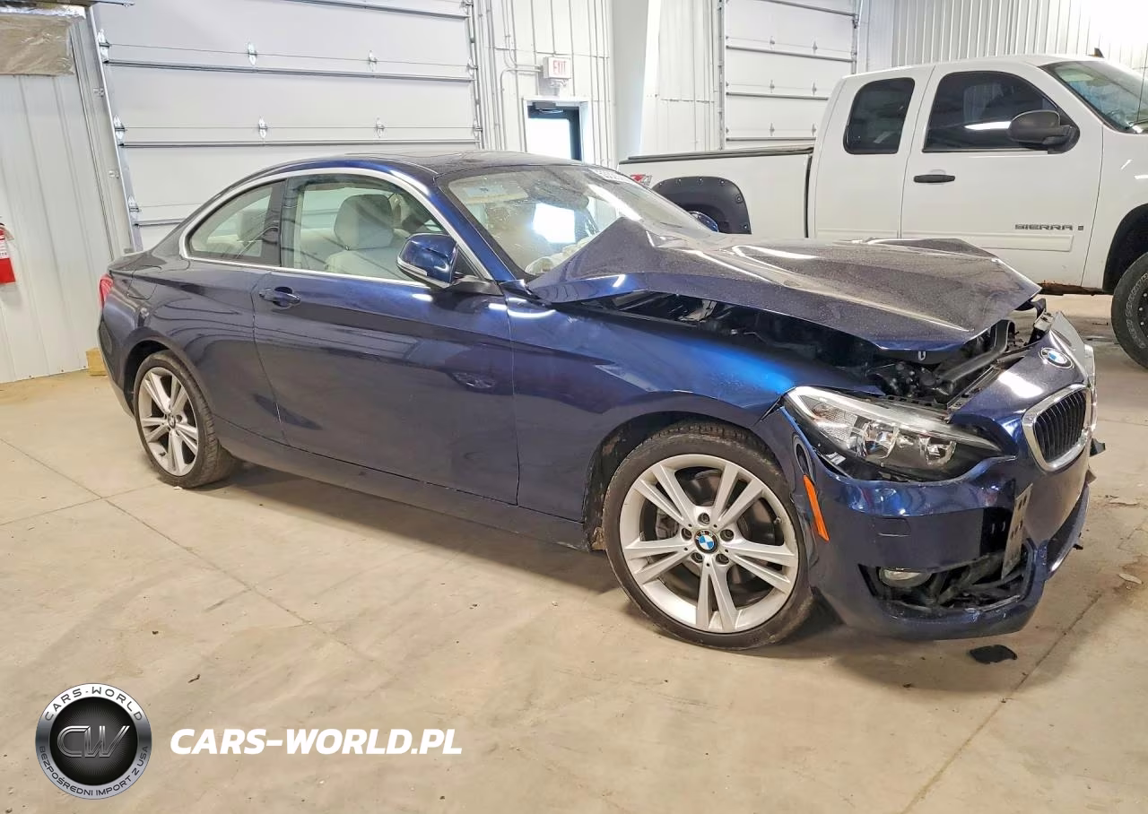 2015 BMW 228 Xi VIN:WBA1F7C50FVX96180 - 4