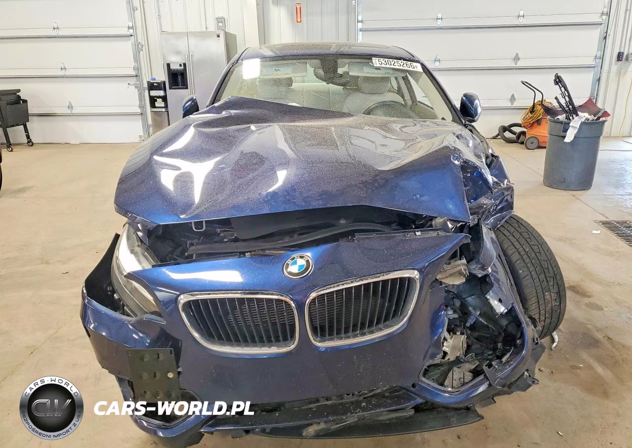 2015 BMW 228 Xi VIN:WBA1F7C50FVX96180 - 5