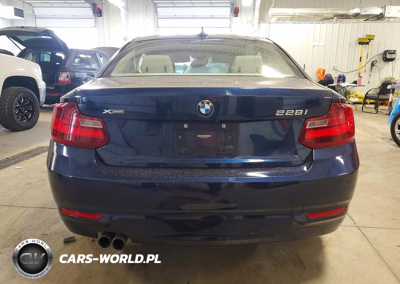 2015 BMW 228 Xi VIN:WBA1F7C50FVX96180 - 6