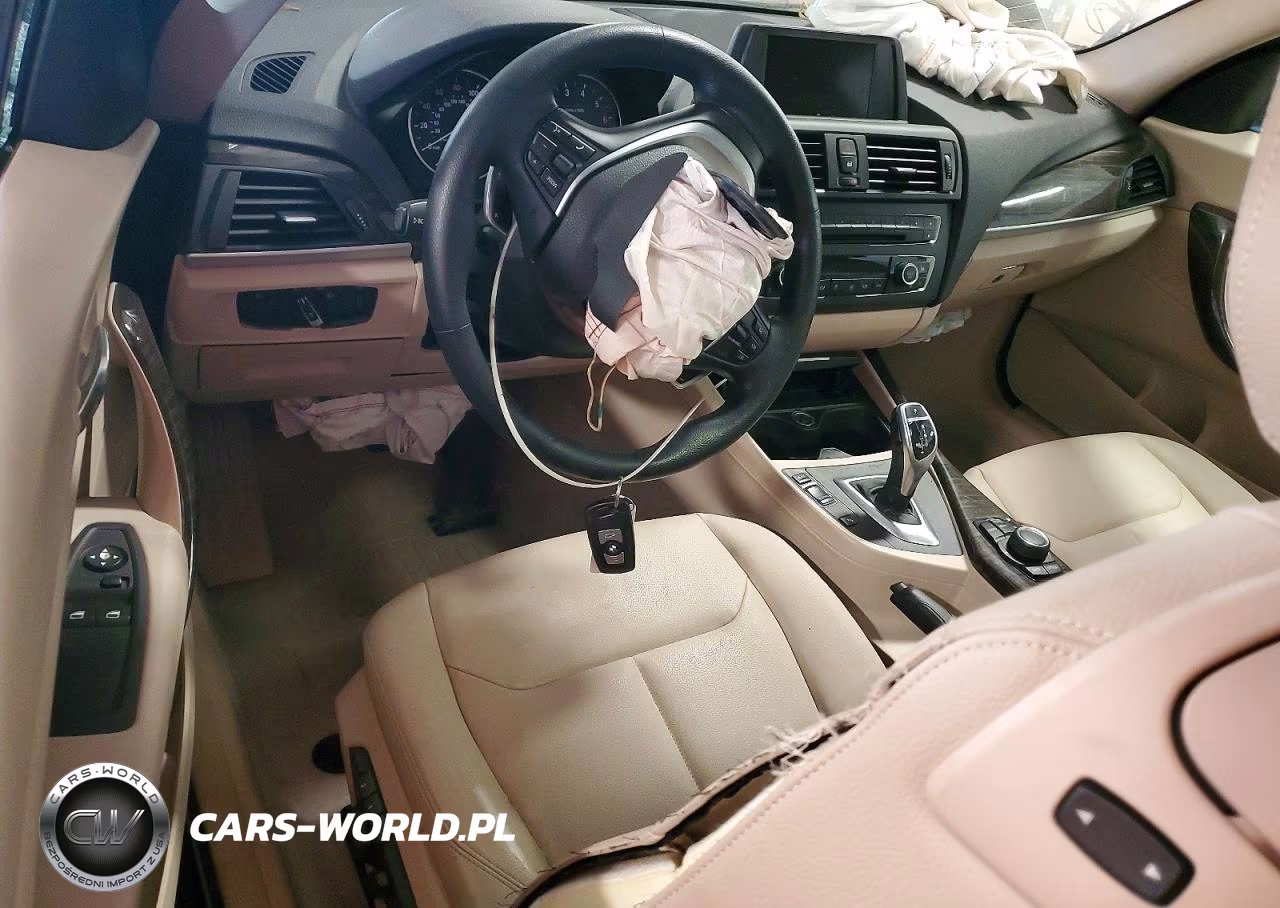 2015 BMW 228 Xi VIN:WBA1F7C50FVX96180 - 8