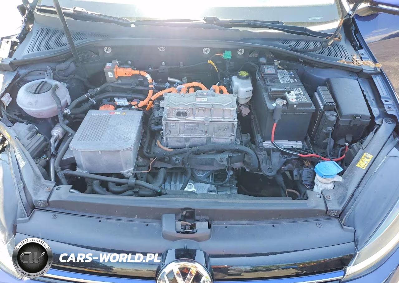 2017 Volkswagen E-Golf Se VIN:WVWKR7AU8HW950866 - 11
