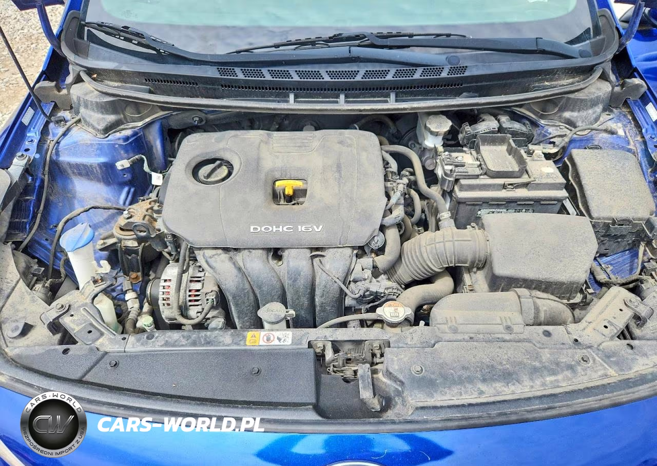 2017 Kia Forte Lx VIN:3KPFK4A77HE064787 - 11