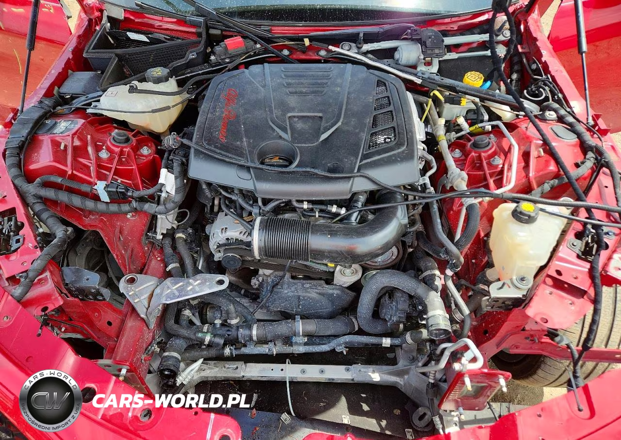 2020 Alfa Romeo Giulia VIN:ZARFAMAN3L7631464 - 11