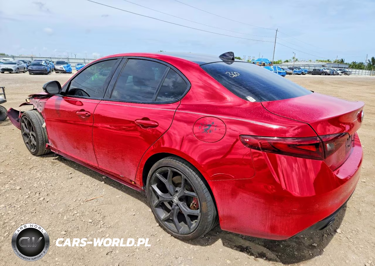 2020 Alfa Romeo Giulia VIN:ZARFAMAN3L7631464 - 2