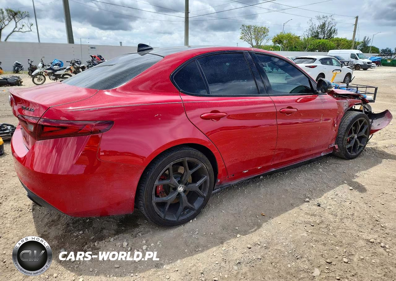 2020 Alfa Romeo Giulia VIN:ZARFAMAN3L7631464 - 3