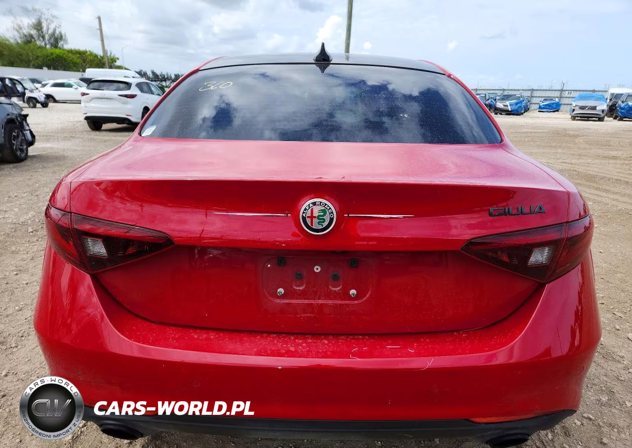 2020 Alfa Romeo Giulia VIN:ZARFAMAN3L7631464 - 6