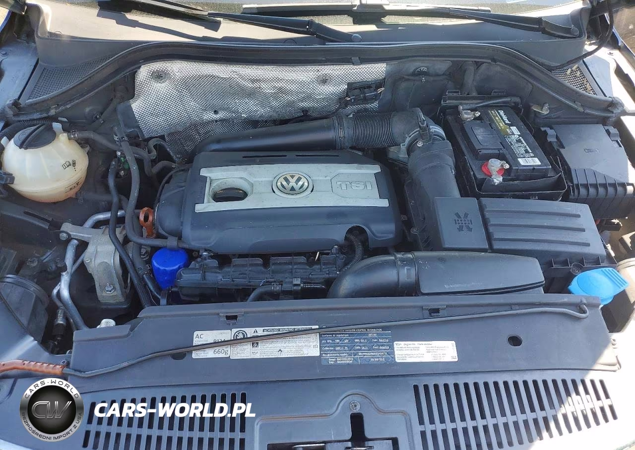 2011 Volkswagen Tiguan S VIN:WVGAV7AX0BW553432 - 11