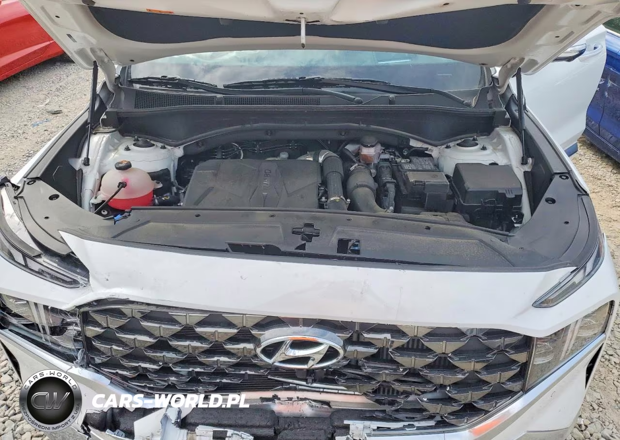 2023 Hyundai Santa Fe VIN:5NMS54AL0PH630086 - 12