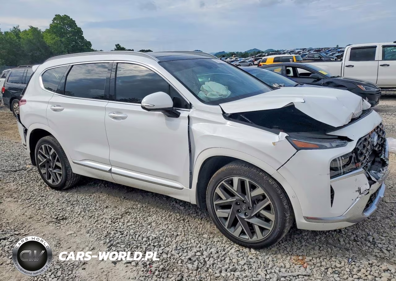 2023 Hyundai Santa Fe VIN:5NMS54AL0PH630086 - 4