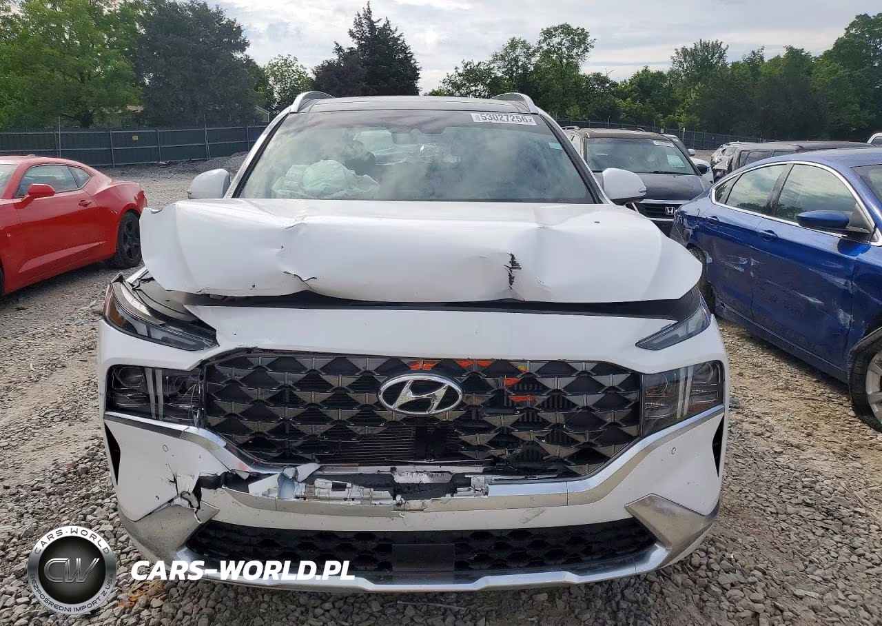 2023 Hyundai Santa Fe VIN:5NMS54AL0PH630086 - 5
