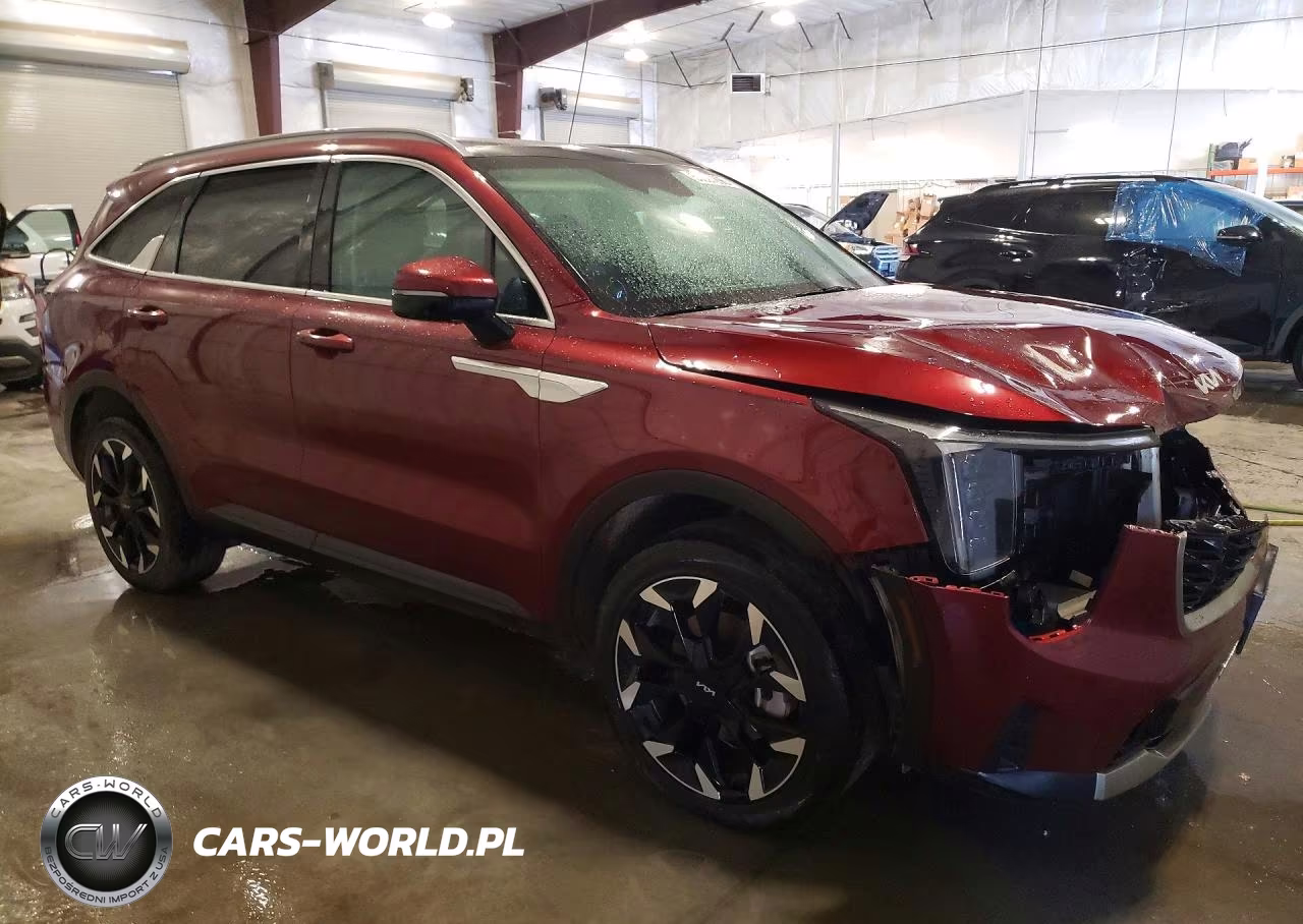 2025 Kia Sorento Ex VIN:5XYRHDJFXSG400736 - 4