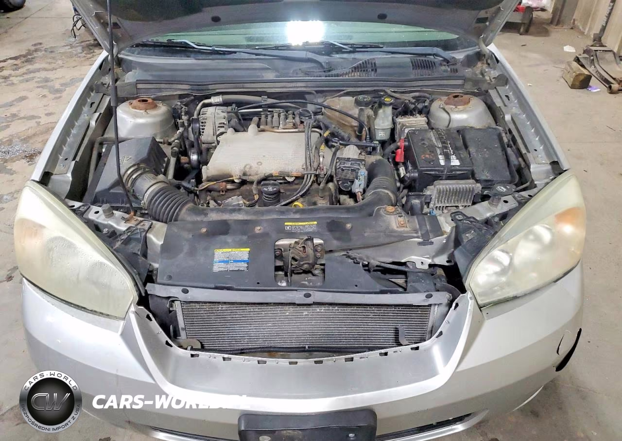 2006 Chevrolet Malibu Lt VIN:1G1ZT53836F239571 - 11