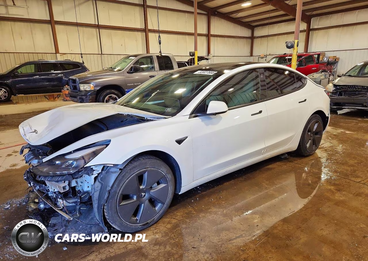 2021 Tesla Model 3