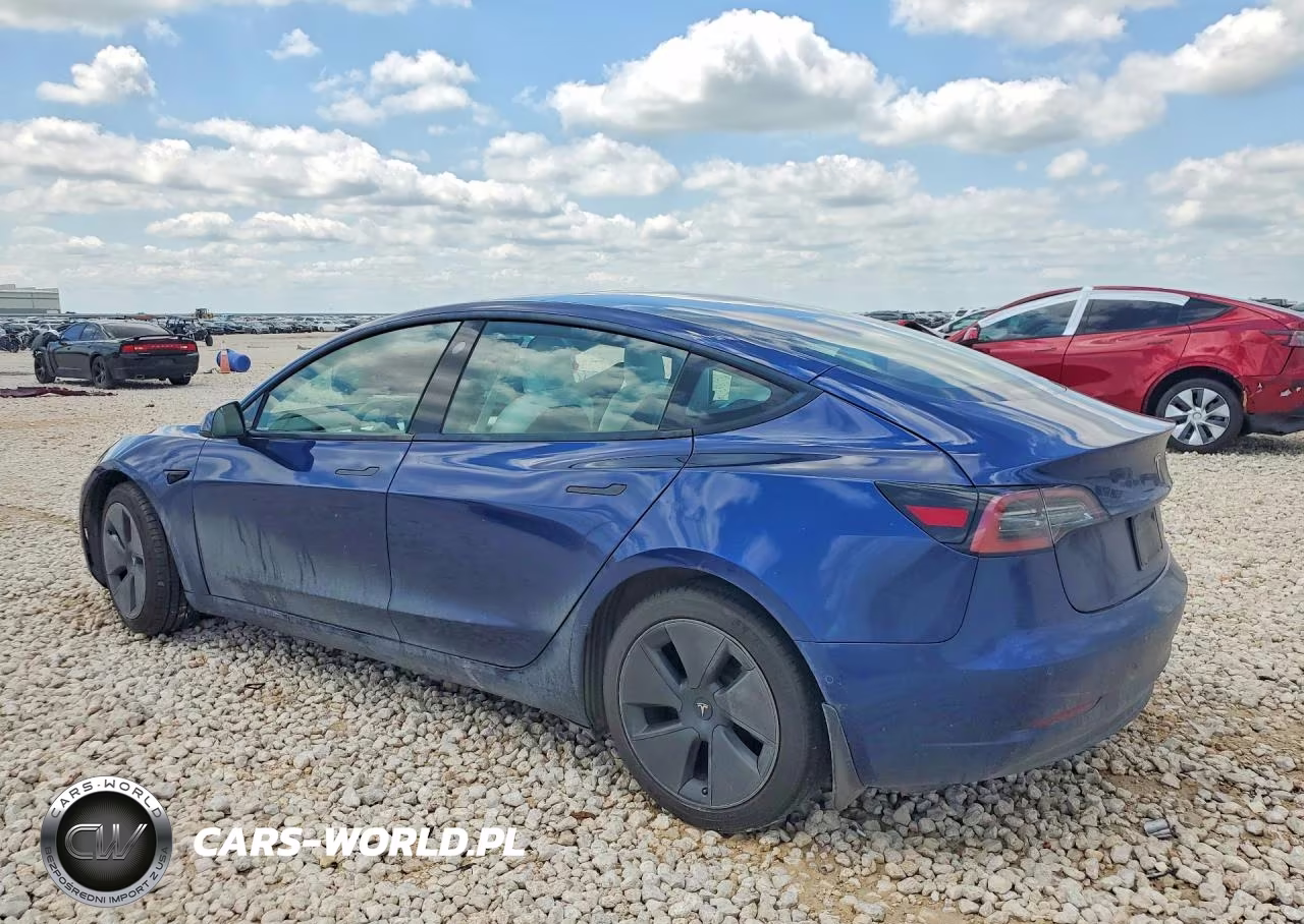 2021 Tesla Model 3 VIN:5YJ3E1EB8MF961001 - 2