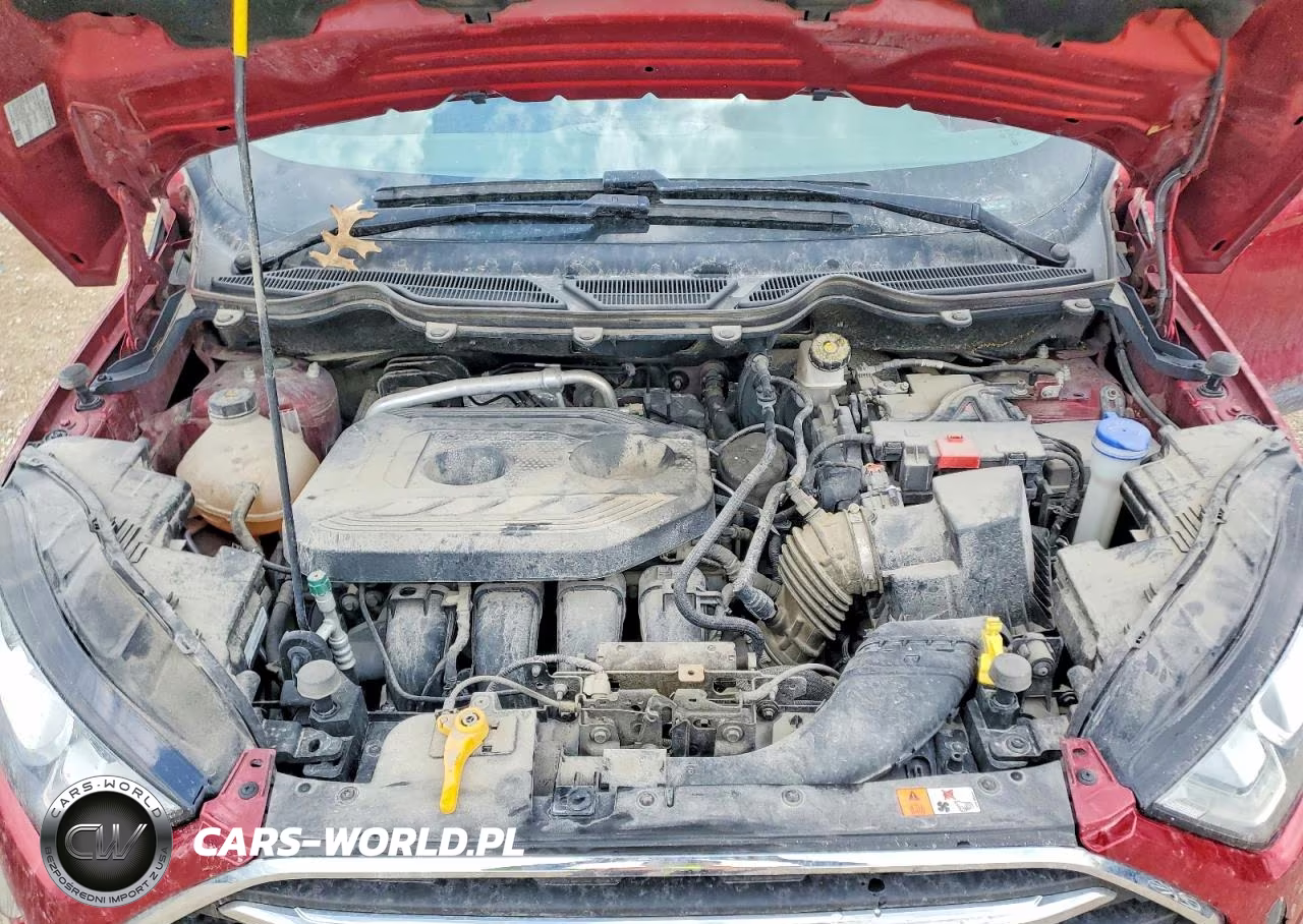 2019 Ford Ecosport Titanium VIN:MAJ6S3KLXKC252181 - 12