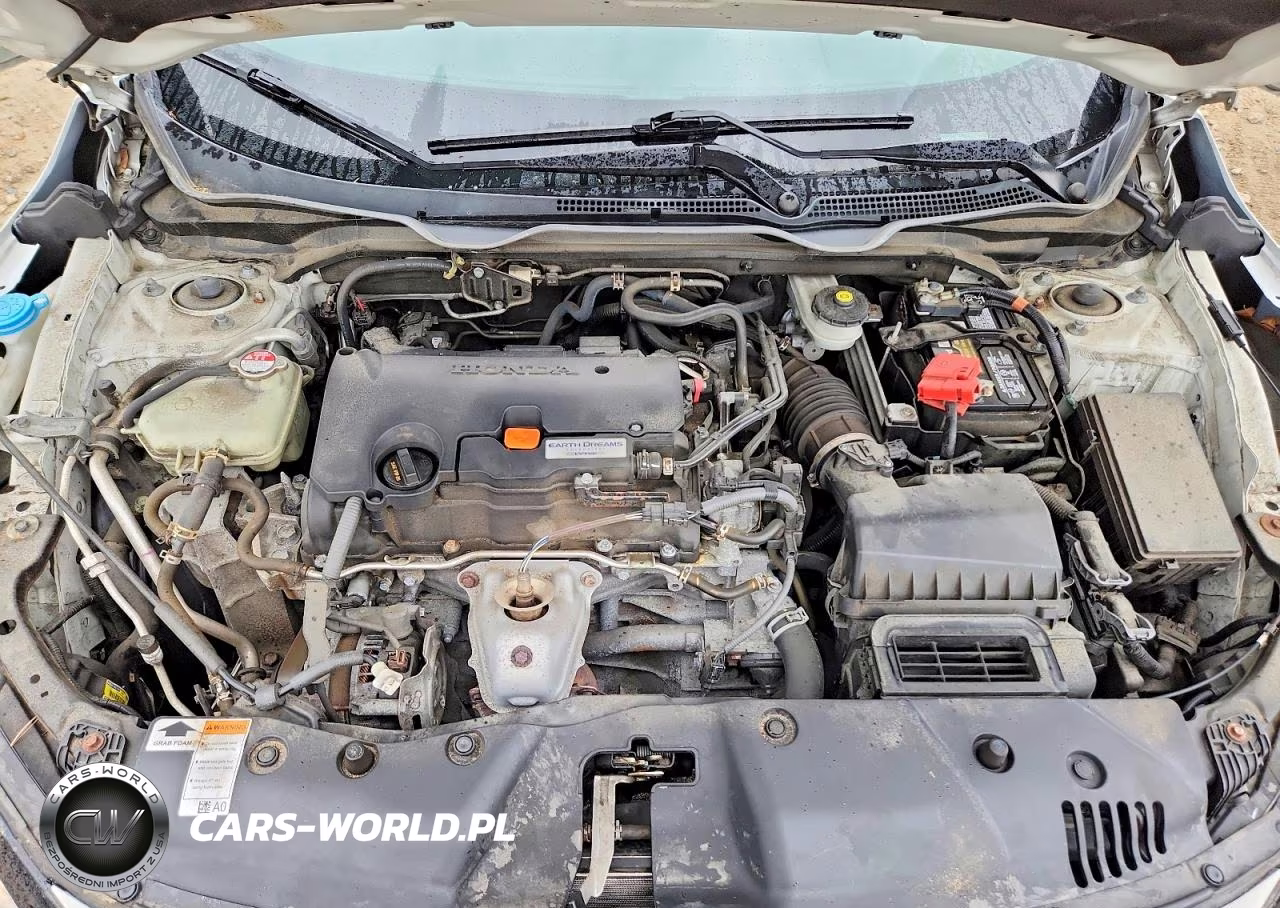 2019 Honda Civic Lx VIN:2HGFC2F64KH557728 - 11