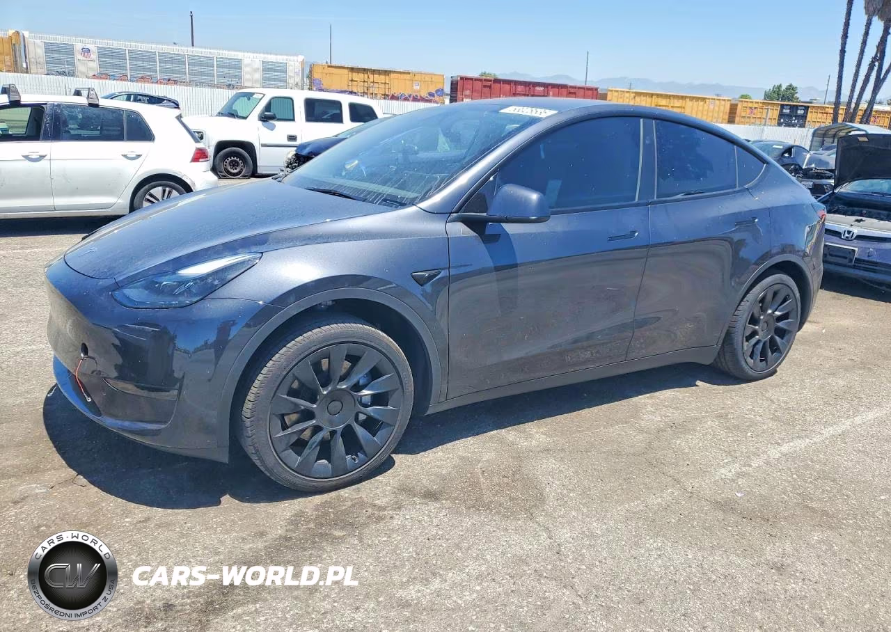 2024 Tesla Model Y