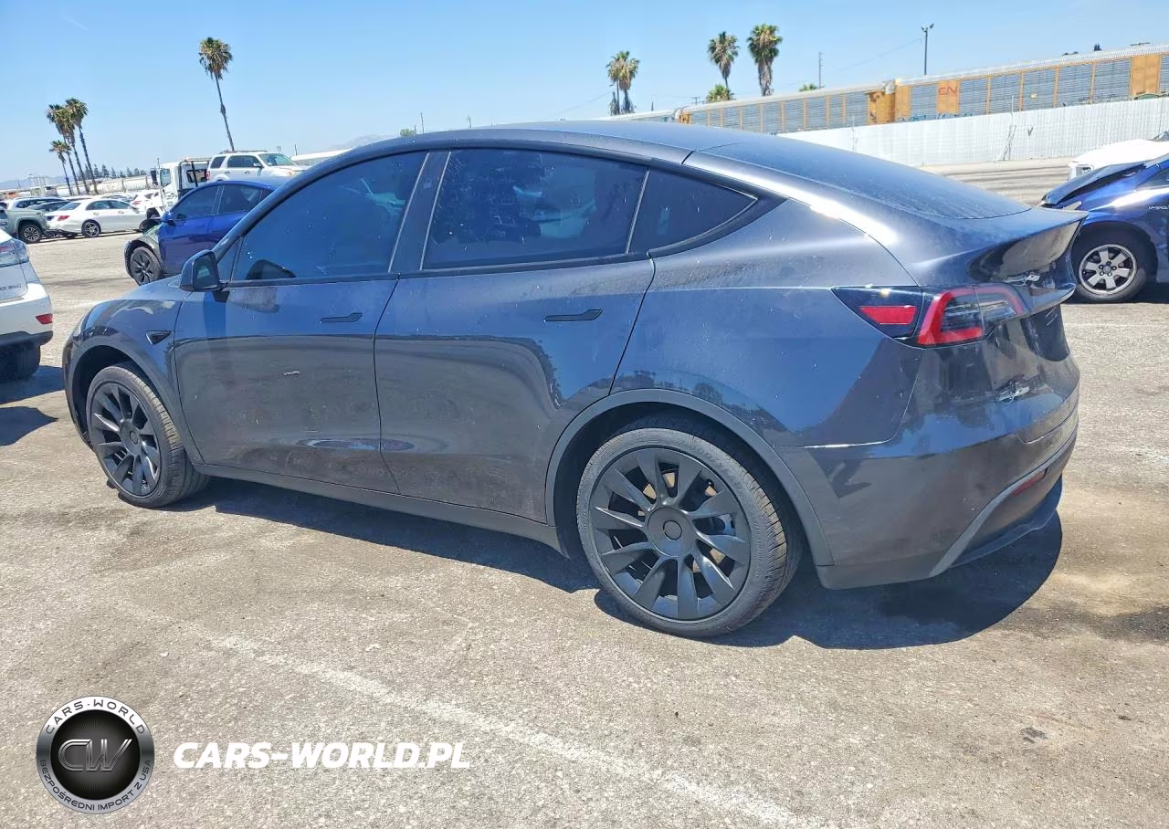 2024 Tesla Model Y VIN:7SAYGDED5RF057684 - 2
