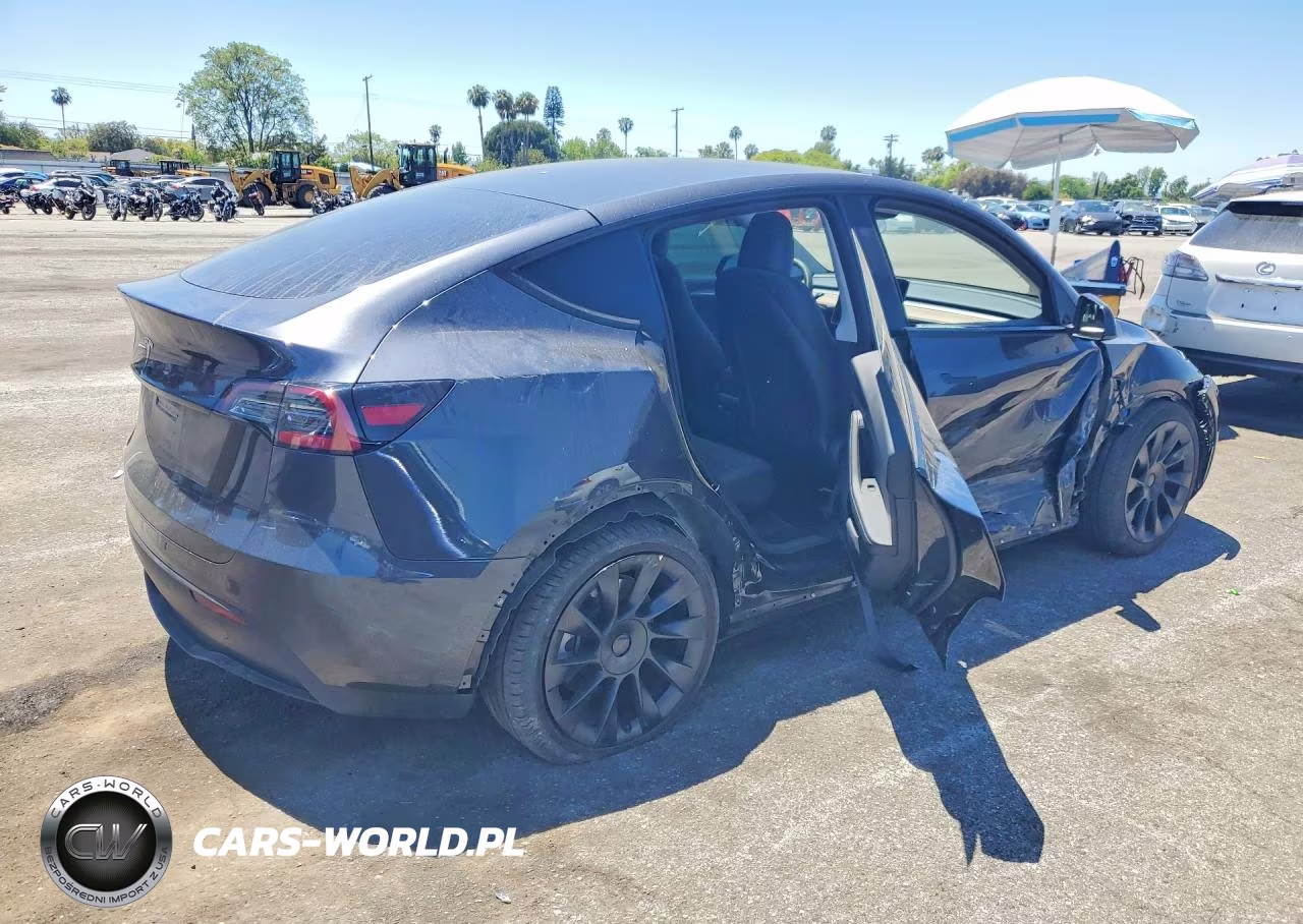 2024 Tesla Model Y VIN:7SAYGDED5RF057684 - 3