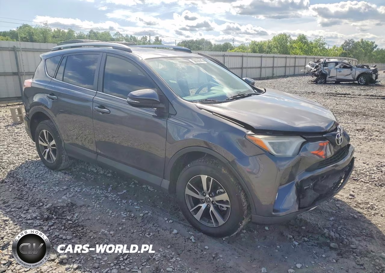 2016 Toyota Rav4 Xle VIN:2T3WFREV3GW284165 - 4