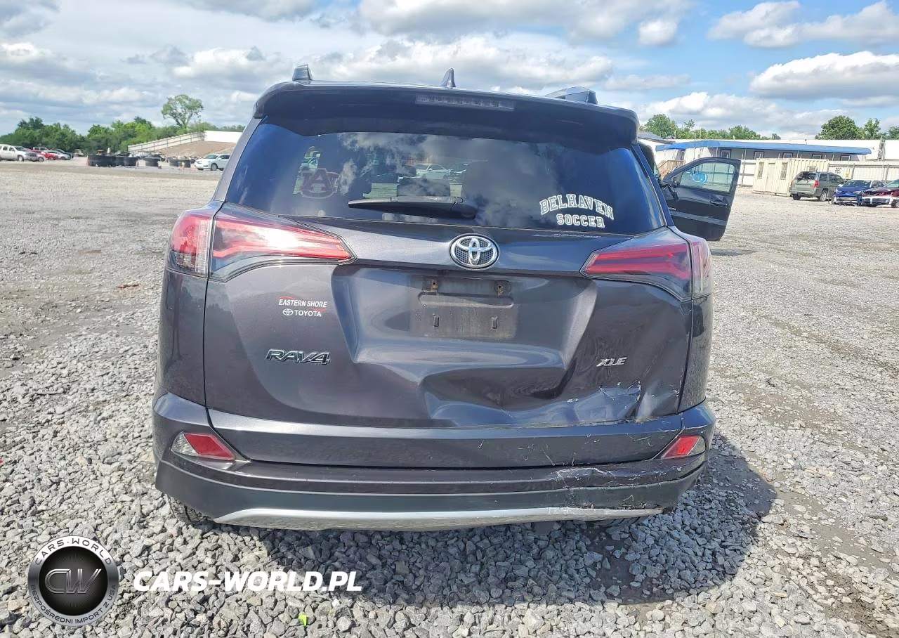 2016 Toyota Rav4 Xle VIN:2T3WFREV3GW284165 - 6